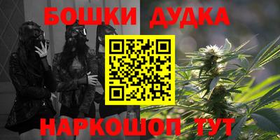 шишки Новозыбков
