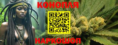 шишки Новозыбков