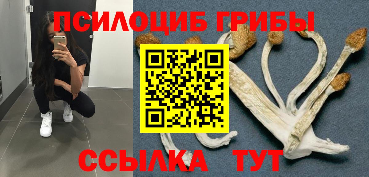 Псилоцибиновые грибы MAGIC MUSHROOMS  Псилоцибиновые грибы прущие грибы  Вход с VPN  Саратов 